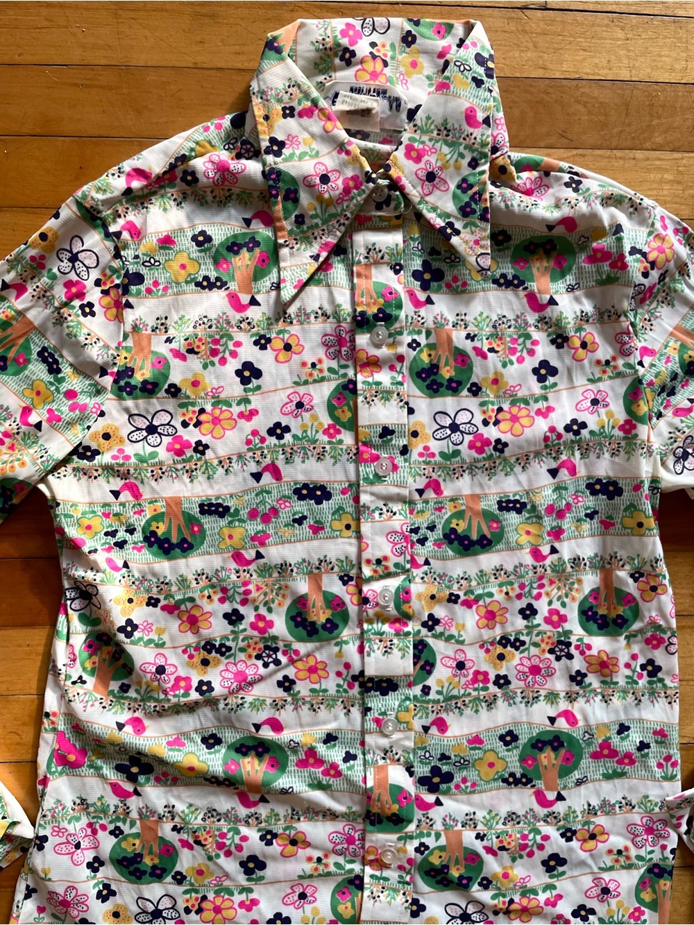 Vintage 1960's 70's Mod Bird Novelty Print Button Down Dagger Collar Blouse
